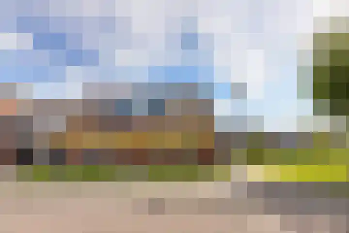 De Meidoorn 16 Bedum thumbnail 42