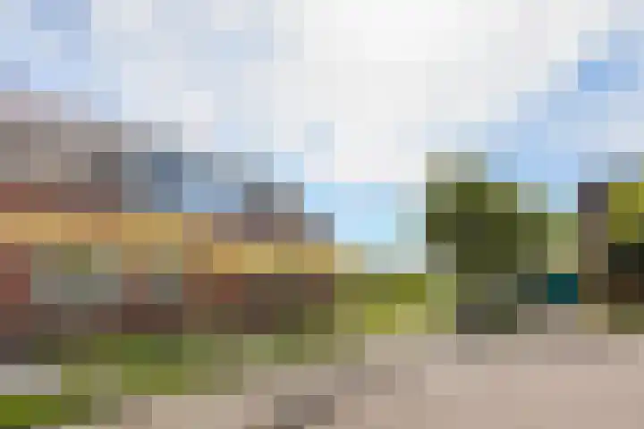 De Meidoorn 16 Bedum thumbnail 43