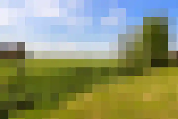 De Meidoorn 16 Bedum thumbnail 45