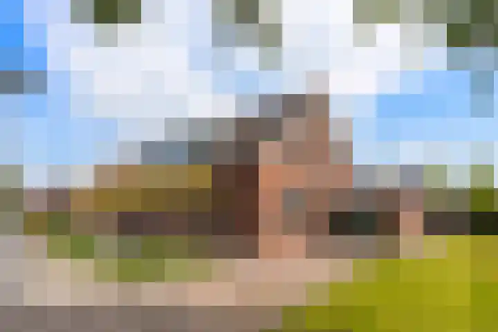 De Meidoorn 16 Bedum thumbnail 52