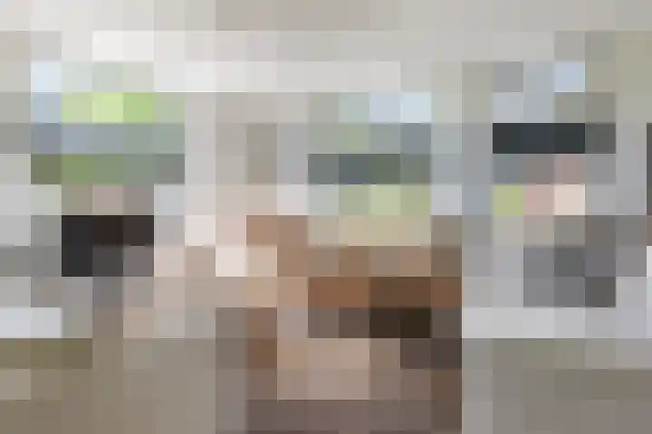 De Meidoorn 16 Bedum thumbnail 6