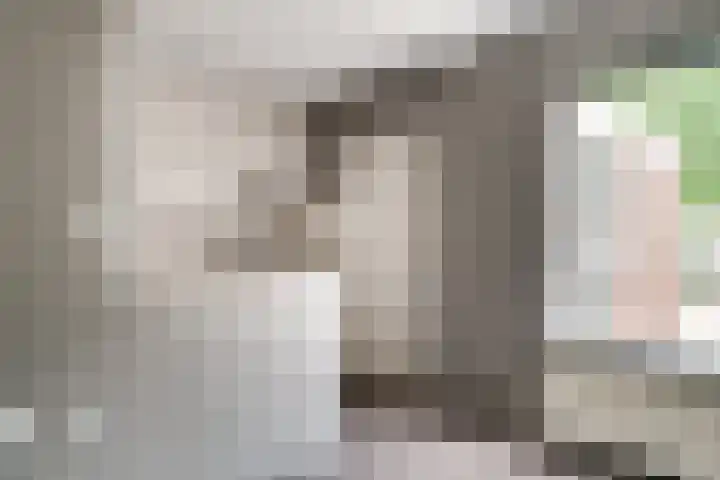 de Meidoorn 23 Didam thumbnail 16