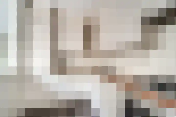 de Meidoorn 23 Didam thumbnail 17
