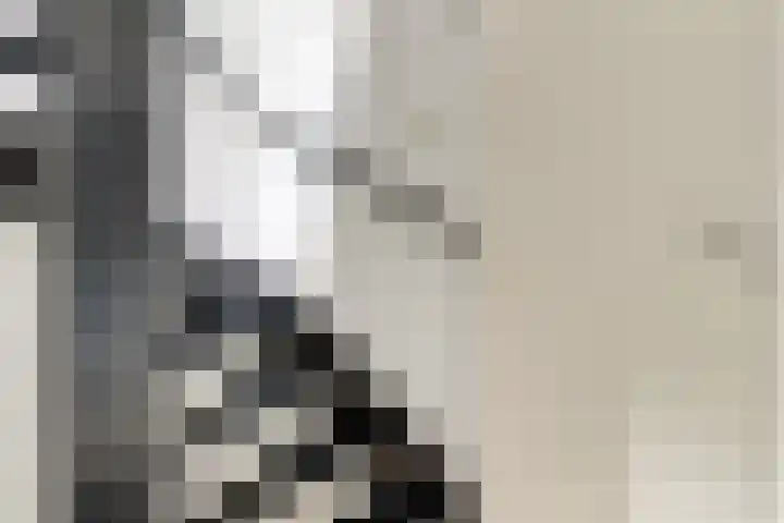 de Meidoorn 23 Didam thumbnail 34