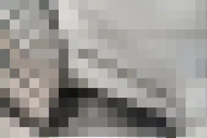 de Meidoorn 23 Didam thumbnail 35