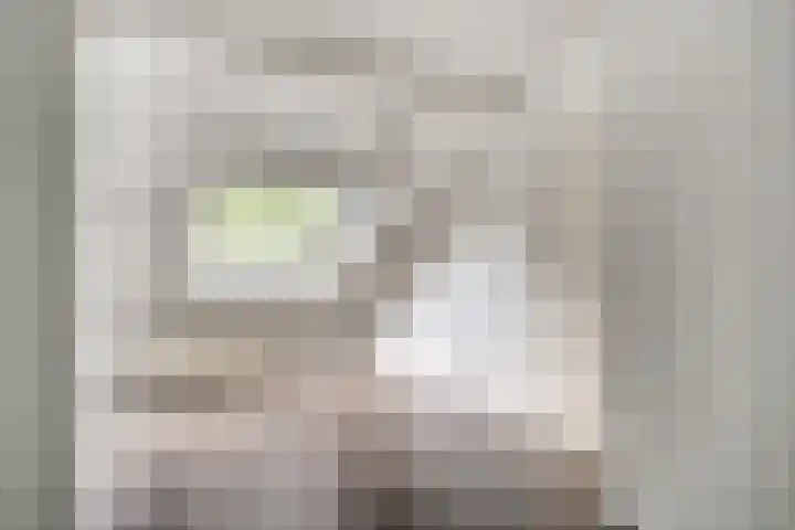 de Meidoorn 23 Didam thumbnail 37