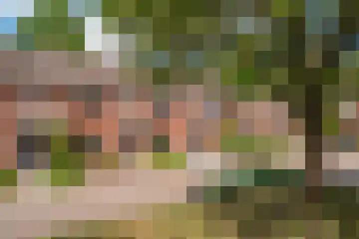 de Meidoorn 23 Didam thumbnail 6