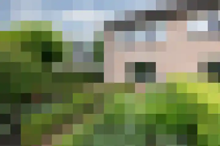 de Meidoorn 5 Didam thumbnail 12