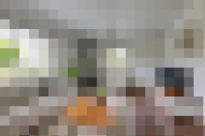 de Meidoorn 5 Didam thumbnail 21