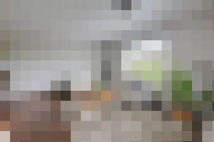 de Meidoorn 5 Didam thumbnail 22