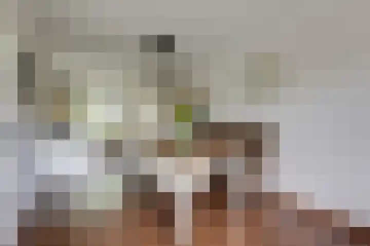 de Meidoorn 5 Didam thumbnail 25