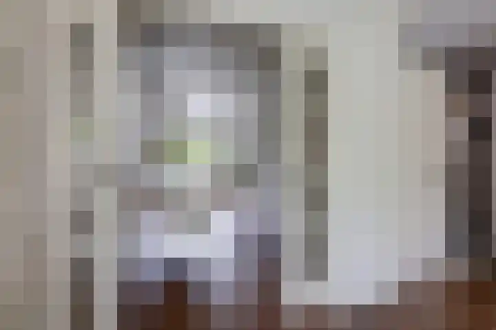 de Meidoorn 5 Didam thumbnail 26