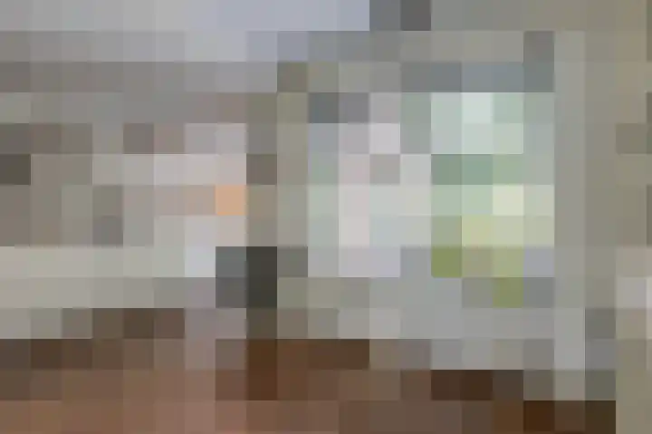de Meidoorn 5 Didam thumbnail 29