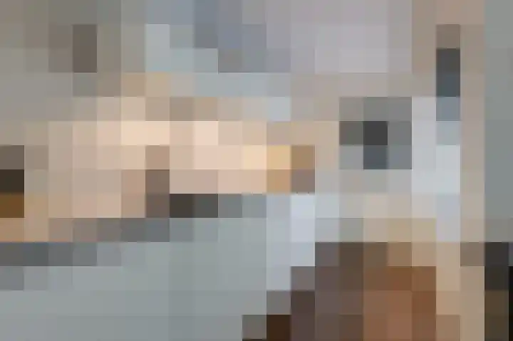 de Meidoorn 5 Didam thumbnail 32