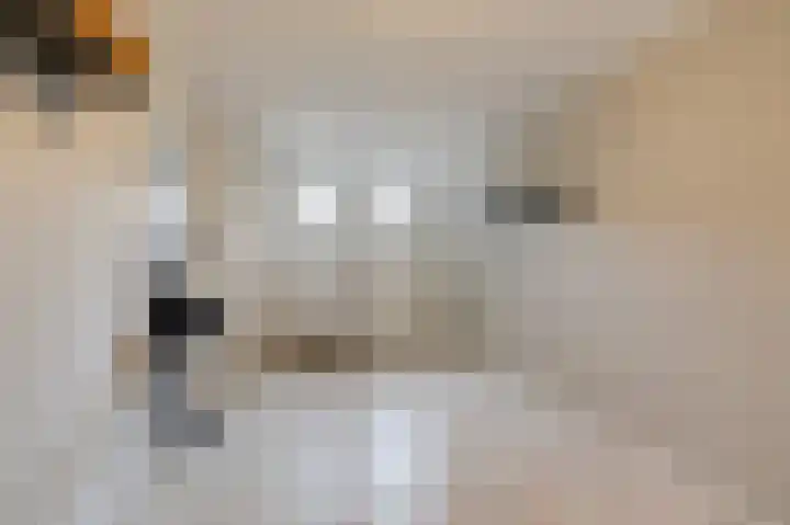 de Meidoorn 5 Didam thumbnail 35