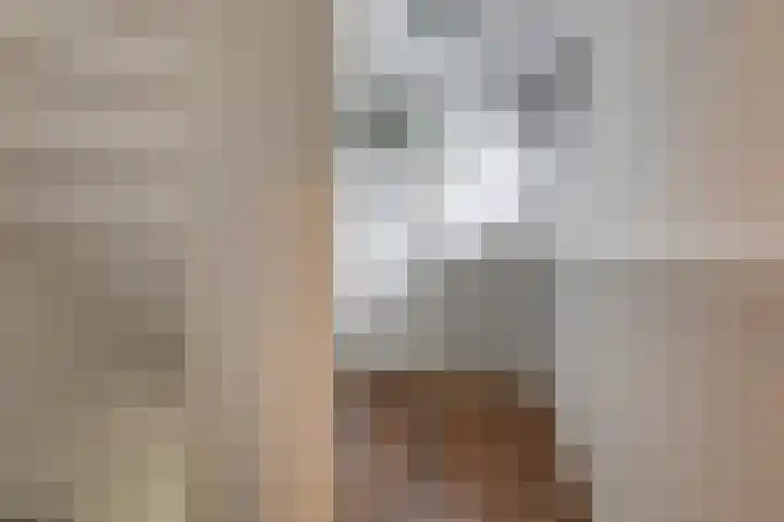 de Meidoorn 5 Didam thumbnail 49