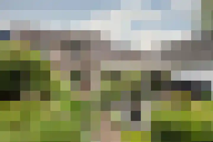 de Meidoorn 5 Didam thumbnail 57