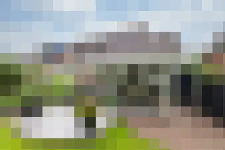 de Meidoorn 5 Didam thumbnail 58