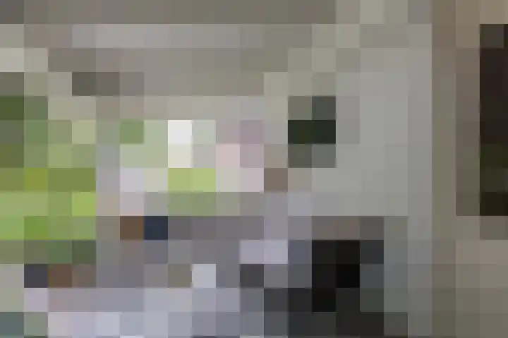 de Meidoorn 5 Didam thumbnail 62