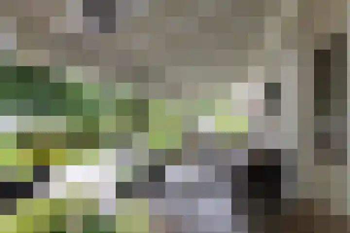 de Meidoorn 5 Didam thumbnail 63