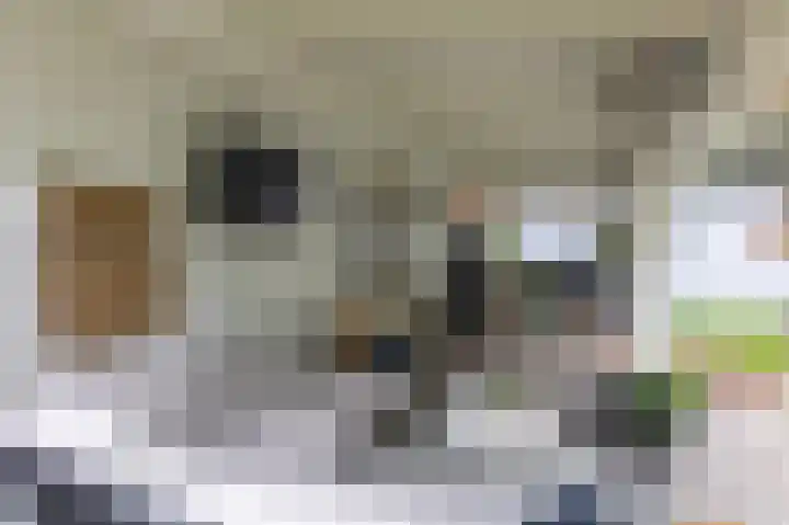 de Meidoorn 5 Didam thumbnail 64