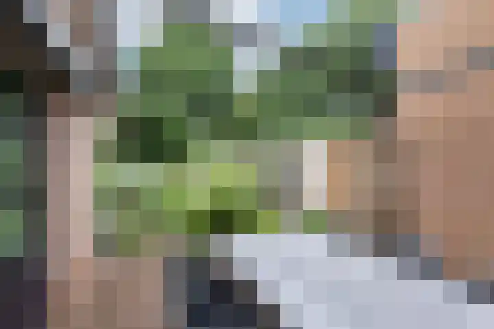 de Meidoorn 5 Didam thumbnail 69
