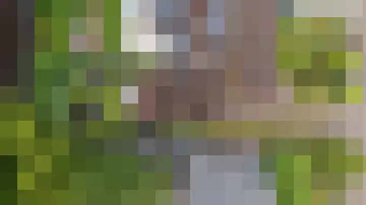 de Meidoorn 5 Didam thumbnail 70