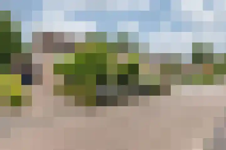 de Meidoorn 5 Didam thumbnail 8