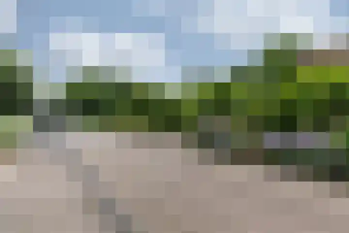 de Meidoorn 5 Didam thumbnail 9