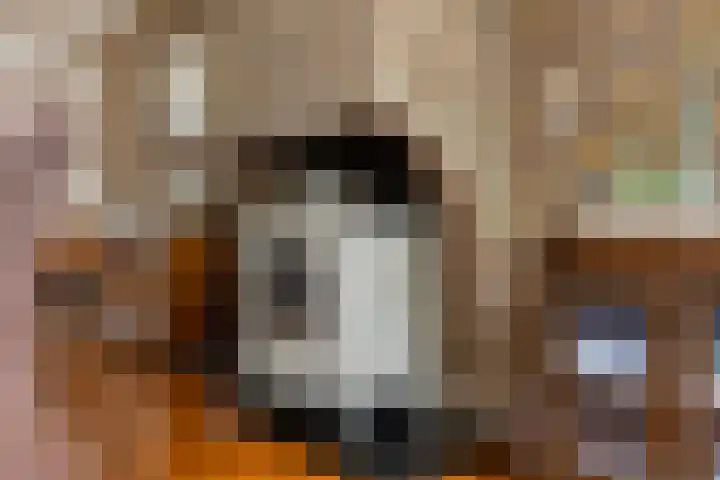 de Mère 5 Halsteren thumbnail 12