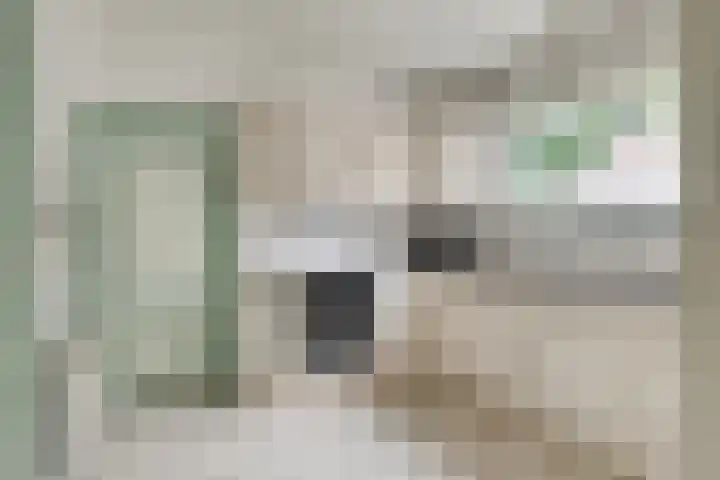 de Mère 5 Halsteren thumbnail 13