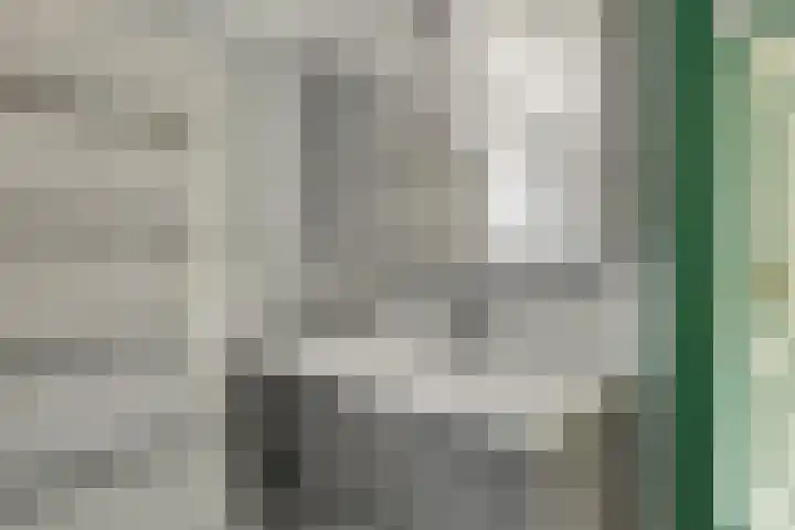 de Mère 5 Halsteren thumbnail 18