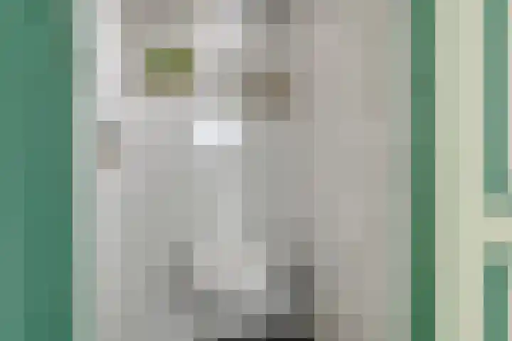 de Mère 5 Halsteren thumbnail 19