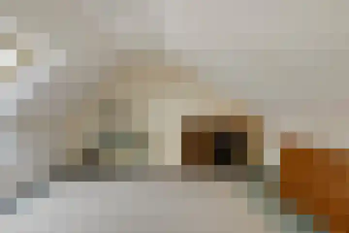 de Mère 5 Halsteren thumbnail 22