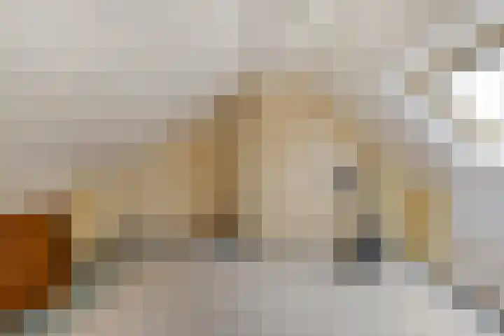de Mère 5 Halsteren thumbnail 23