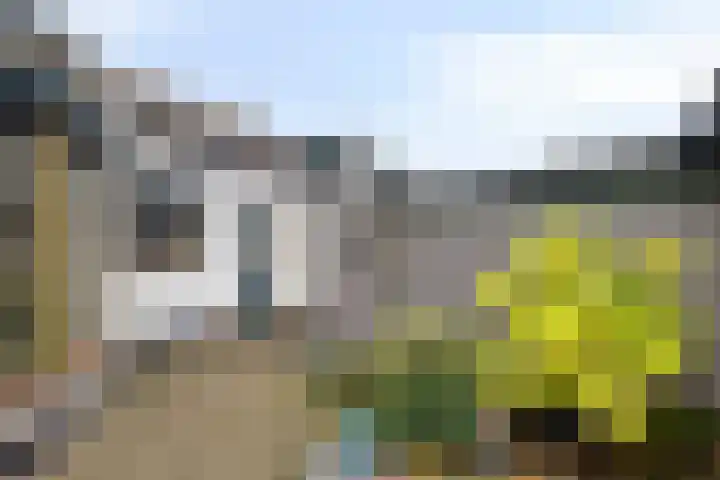 de Mère 5 Halsteren thumbnail 28
