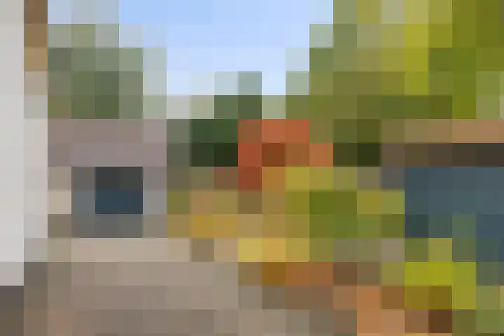 de Mère 5 Halsteren foto 3