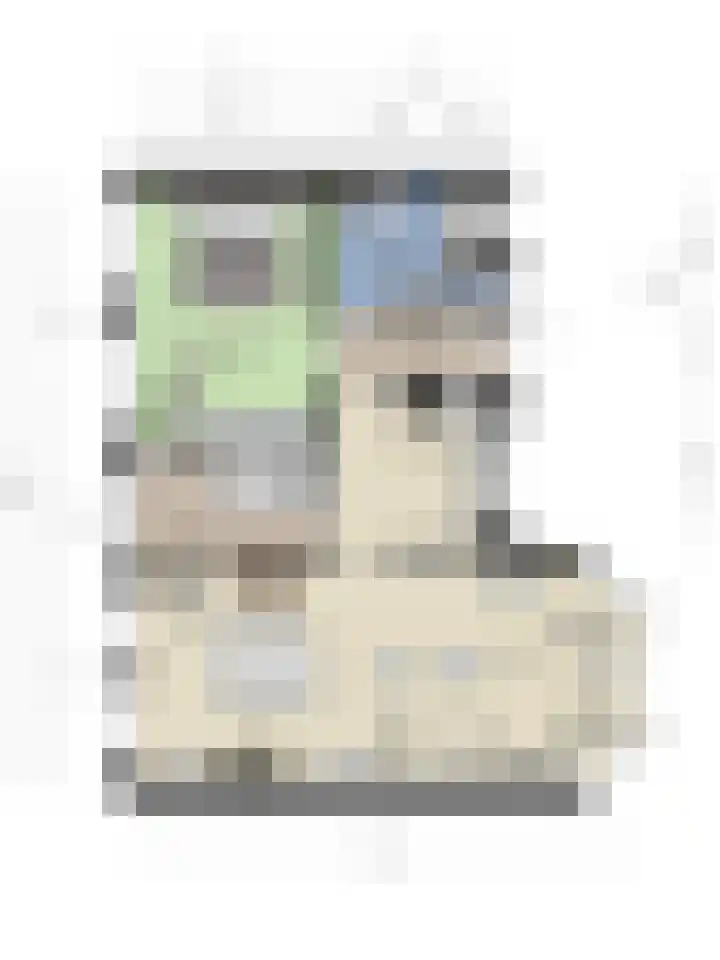 de Mère 5 Halsteren thumbnail 33