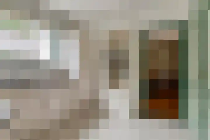 de Mère 5 Halsteren thumbnail 5