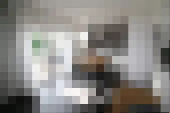 De Merel 9 Vriezenveen thumbnail 11