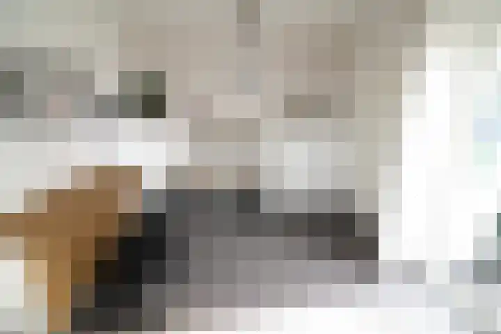 De Merel 9 Vriezenveen thumbnail 12