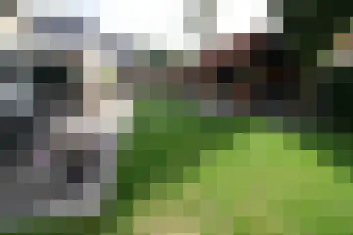 De Merel 9 Vriezenveen thumbnail 34