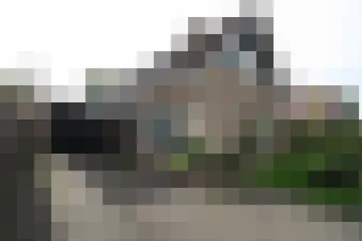 De Merel 9 Vriezenveen thumbnail 37