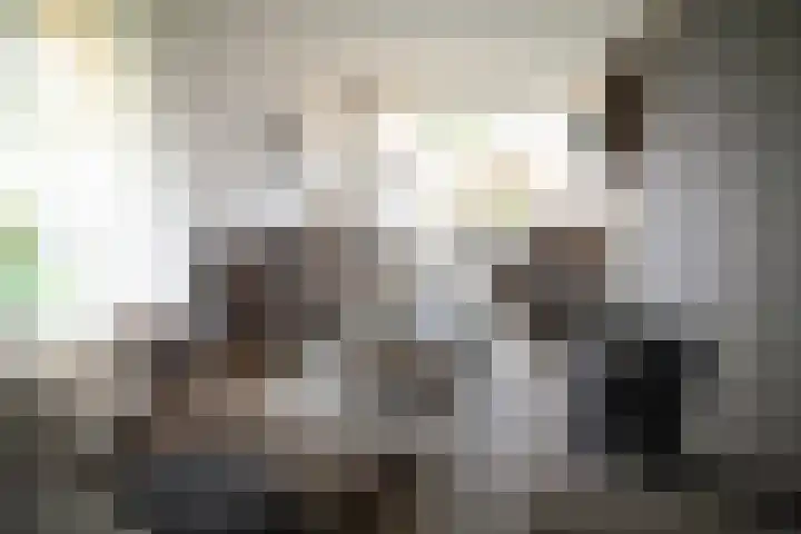 De Merel 9 Vriezenveen thumbnail 4