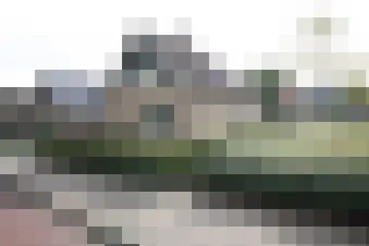 De Merel 9 Vriezenveen thumbnail 40