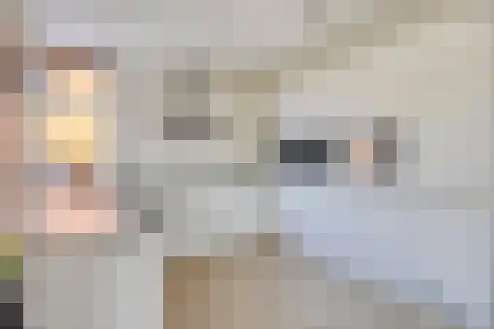 de Meren 1314 Wijchen thumbnail 10