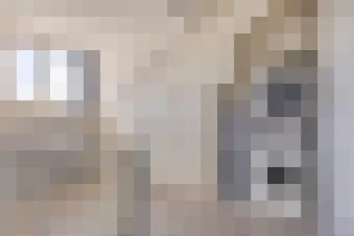 de Meren 1314 Wijchen thumbnail 23