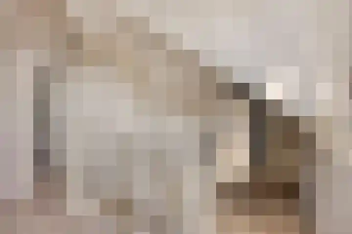 de Meren 1314 Wijchen thumbnail 24