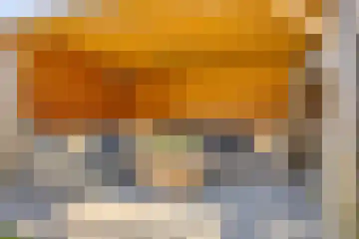 de Meren 1314 Wijchen thumbnail 30