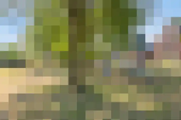 de Meren 1314 Wijchen thumbnail 33